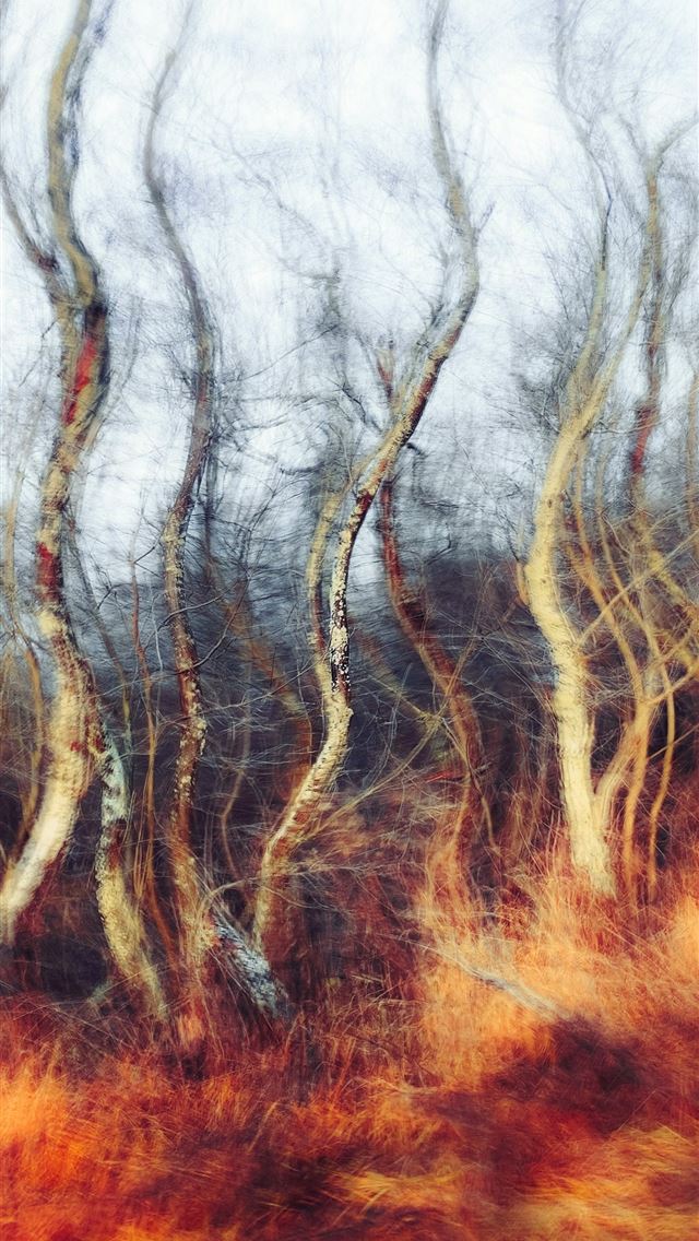 1290x2796 a blurry photo of trees in a forest -  iPhone Wallpaper