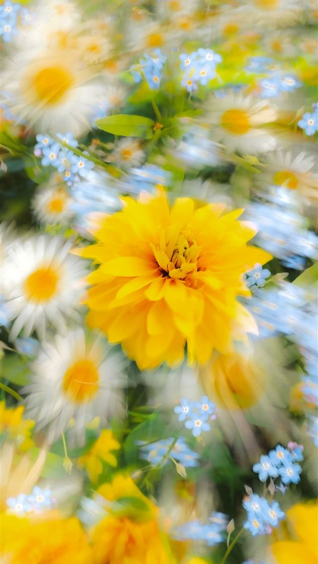 1290x2796 a bunch of flowers that are in the grass - experimental iPhone Wallpaper