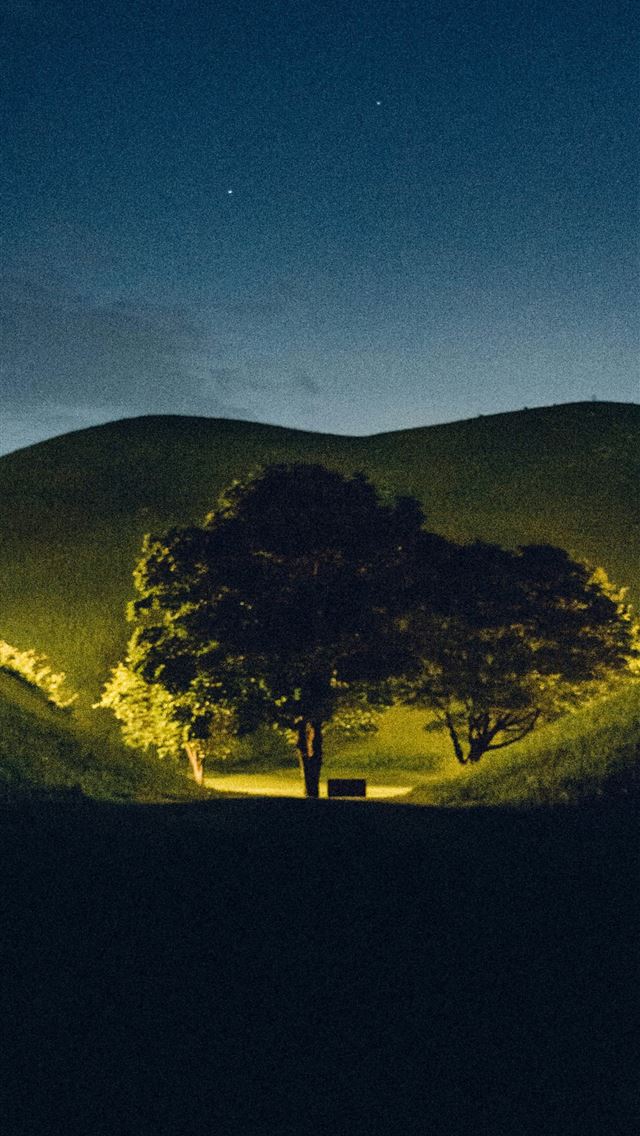1290x2796 green trees on hill under blue sky during night ti... -  iPhone Wallpaper