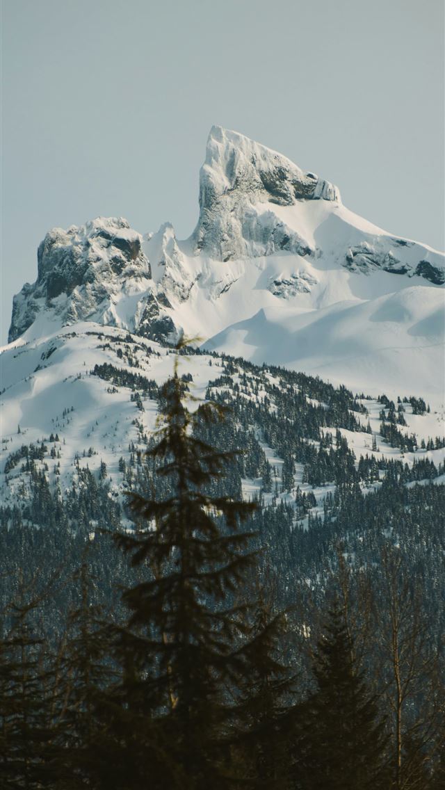 1290x2796 a snow covered mountain with trees in the foregrou... -  iPhone Wallpaper