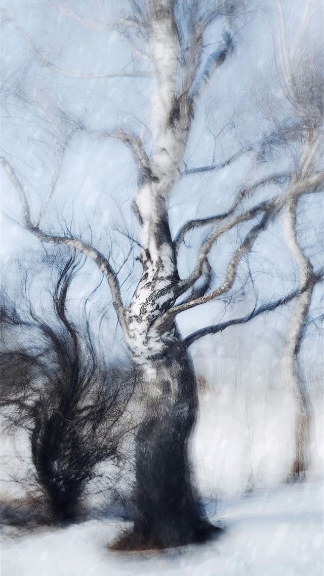 1290x2796 a blurry photo of a tree in the snow -  iPhone Wallpaper