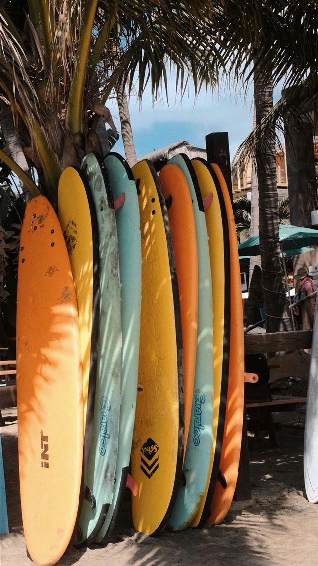 1290x2796 a bunch of surfboards are lined up against a tree -  iPhone Wallpaper