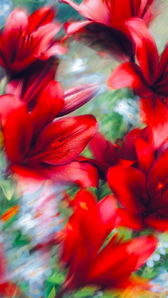 1290x2796 a bunch of red flowers that are in the grass -  iPhone Wallpaper