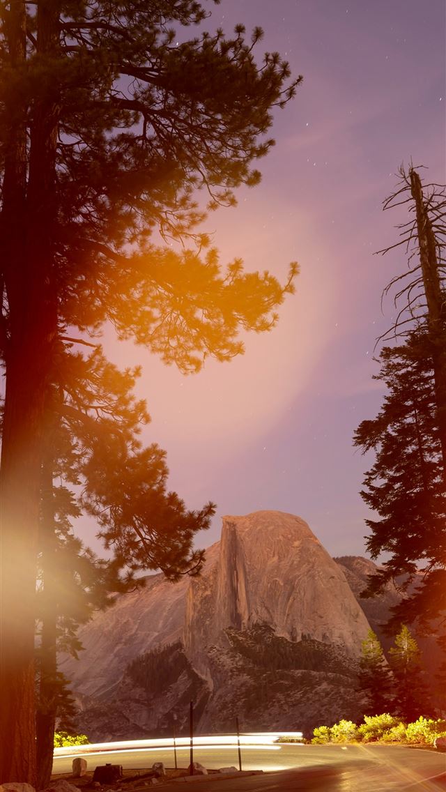 1290x2796 Road leading to half dome at dusk with trees - night sky iPhone Wallpaper
