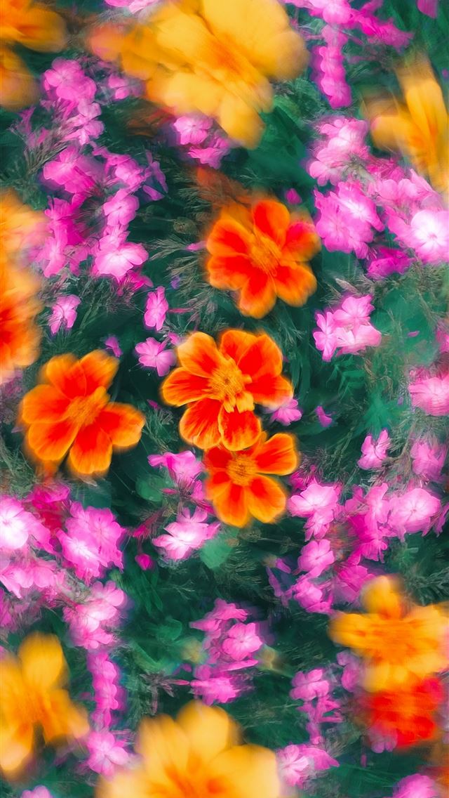 1290x2796 a bunch of flowers that are in the grass - abstract iPhone Wallpaper