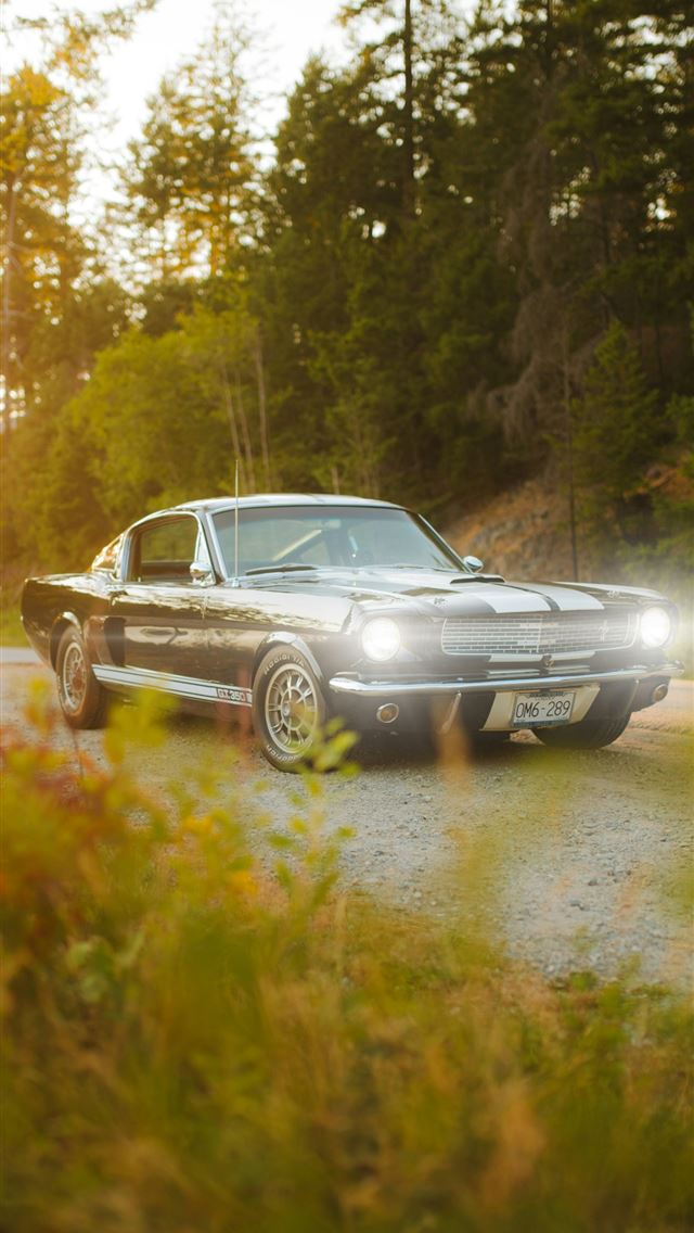 1290x2796 a classic car is parked on a gravel road - land iPhone Wallpaper