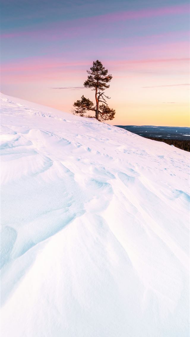 1290x2796 Snowy hill with a lone tree at sunset  -  iPhone Wallpaper