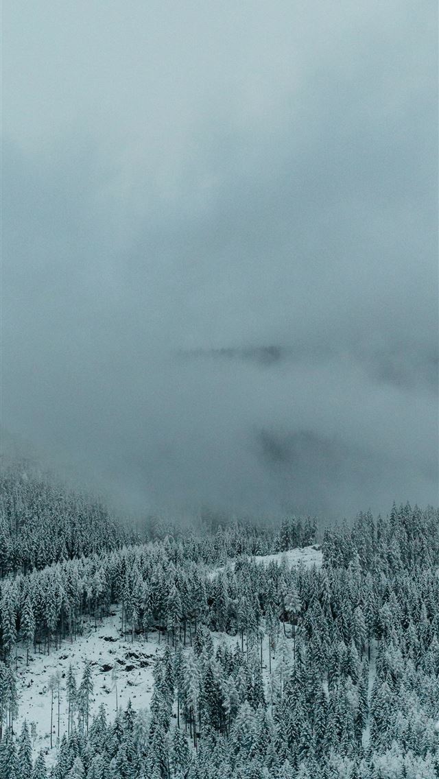 640x1136 A snowy mountain covered in trees under a cloudy s... -  iPhone Wallpaper