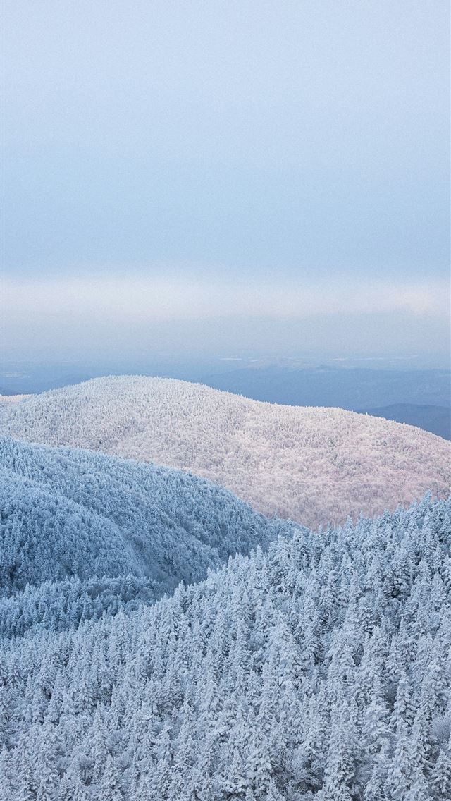 1290x2796 a view of a snowy mountain with trees in the foreg... -  iPhone Wallpaper