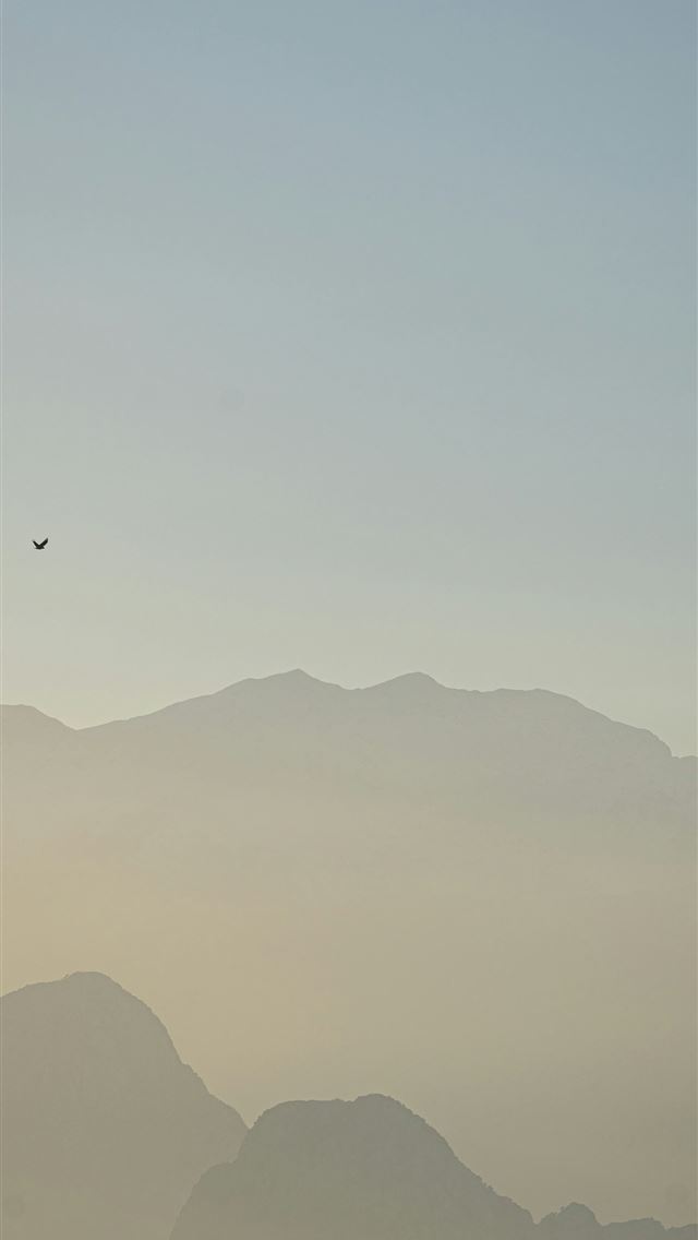 1290x2796 a bird flying in the sky over a mountain range -  iPhone Wallpaper