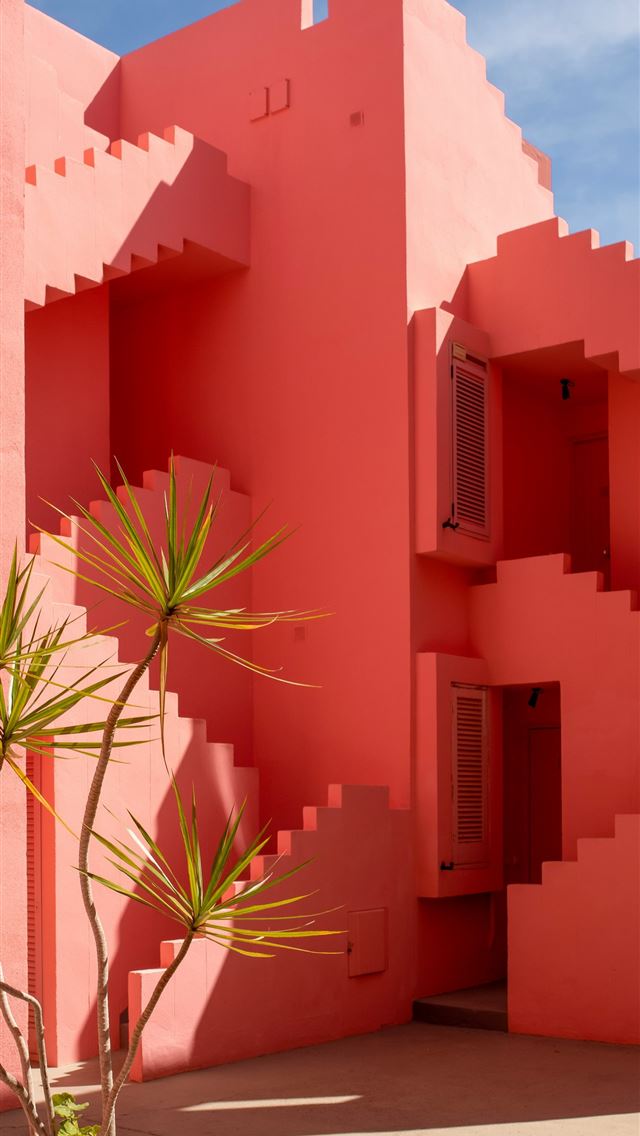 1290x2796 a plant in a pot in front of a pink building -  iPhone Wallpaper