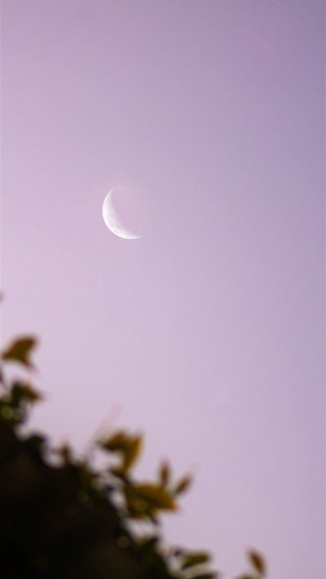 1290x2796 white moon in the sky - minimalism iPhone Wallpaper