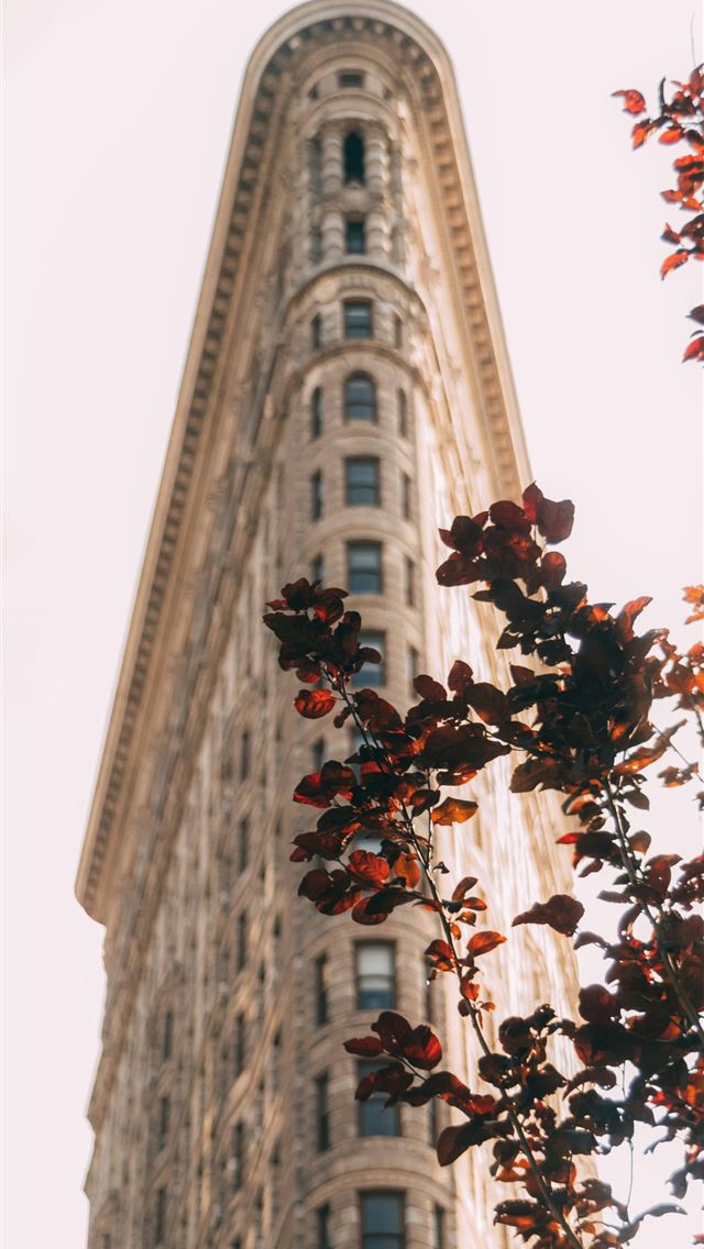 1290x2796 a tall building with a clock on the top of it - leaves iPhone Wallpaper