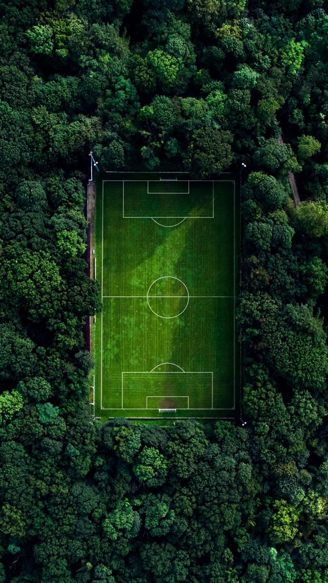 1290x2796 aerial view of green basketball court surrounded b... -  iPhone Wallpaper