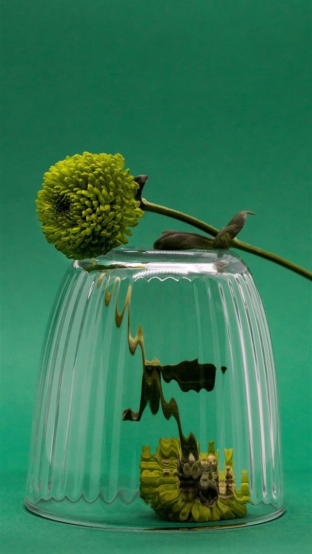 1290x2796 green and yellow flower bouquet in clear glass vas... -  iPhone Wallpaper