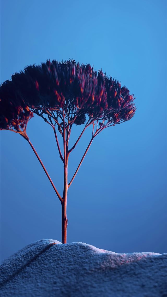 1290x2796 a tree on top of a snow covered hill - blue iPhone Wallpaper