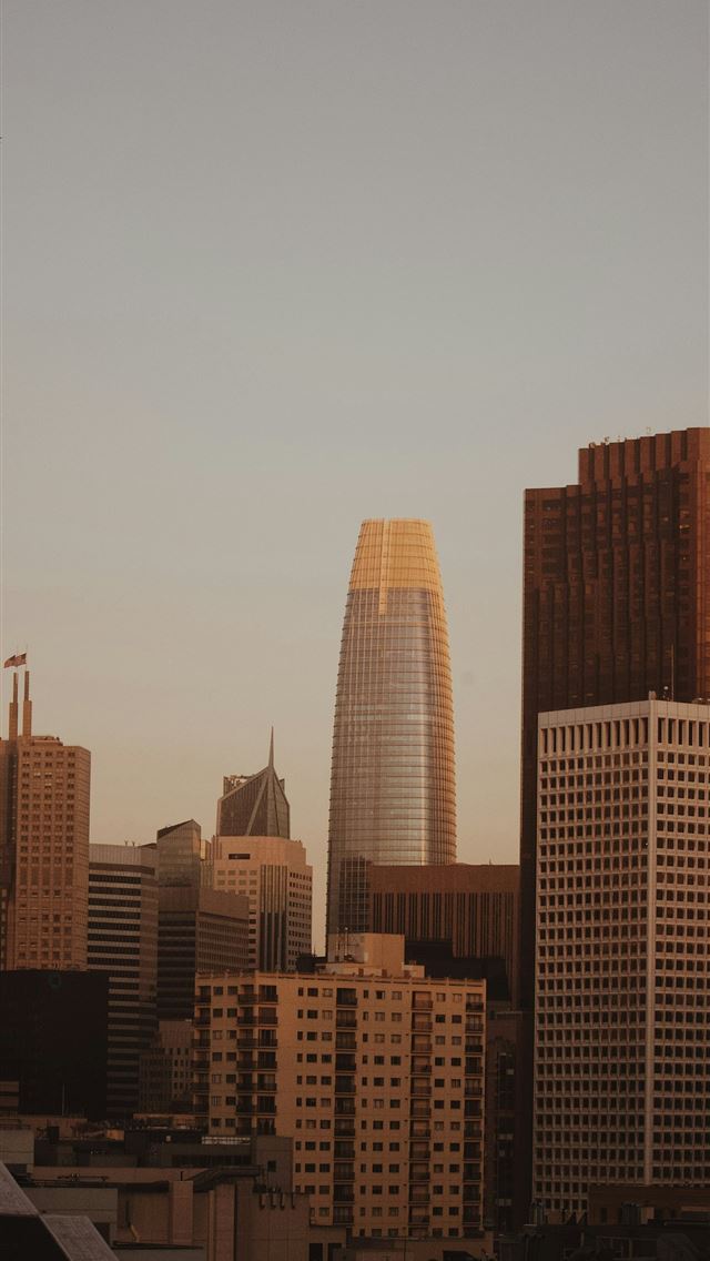 1290x2796 a view of a city with tall buildings - photography iPhone Wallpaper