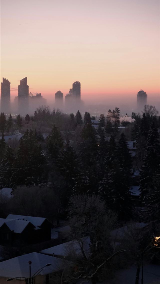1290x2796 City skyline shrouded in mist at dawn -  iPhone Wallpaper