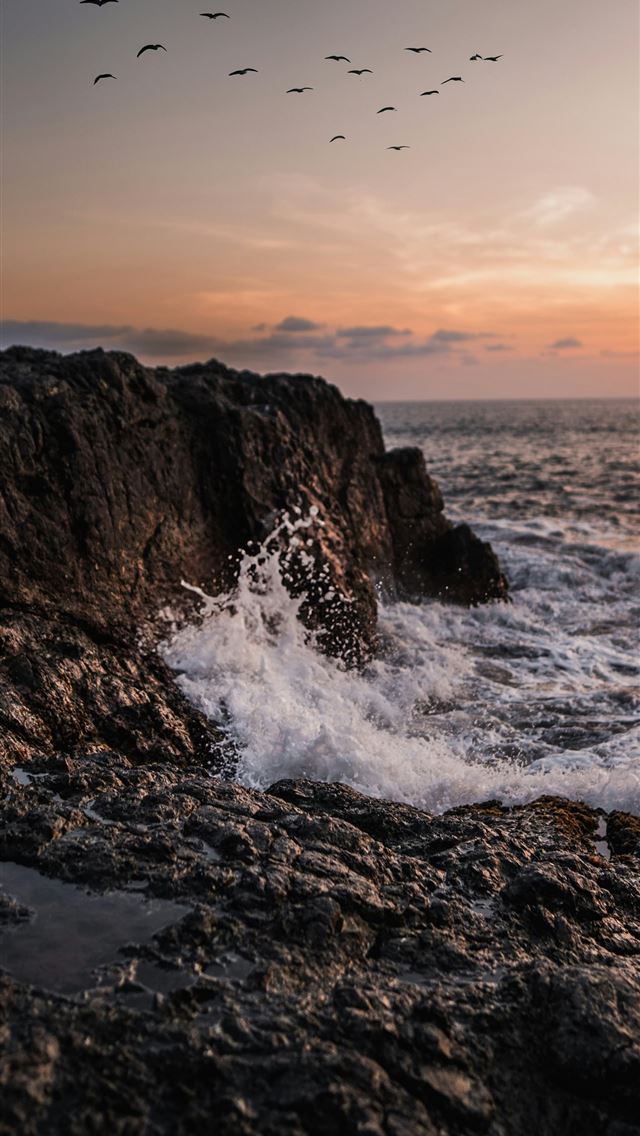 1290x2796 a flock of birds flying over a body of water - clouds iPhone Wallpaper
