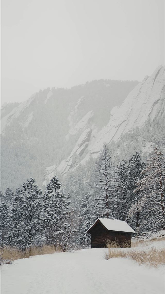 1290x2796 a snow covered field with a cabin in the backgroun... -  iPhone Wallpaper