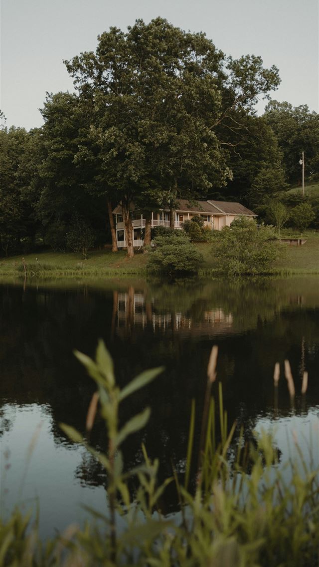 1290x2796 a house sitting on top of a lush green field next ... -  iPhone Wallpaper