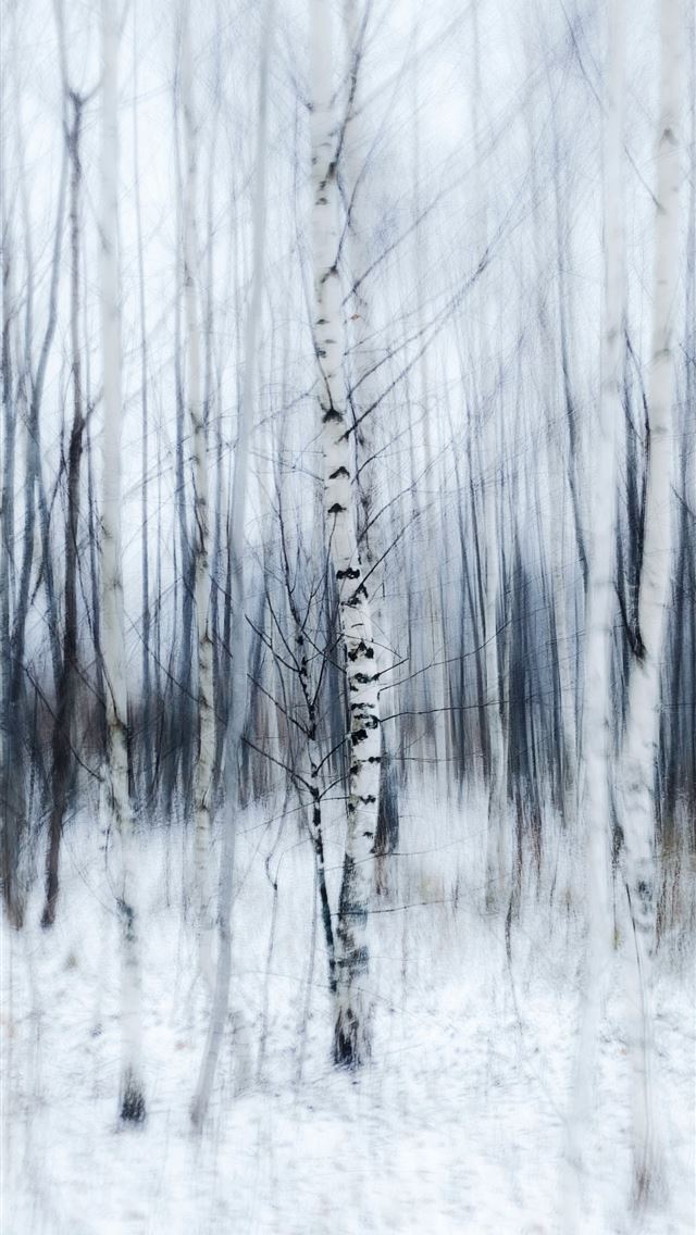 640x1136 a blurry photo of trees in the snow -  iPhone Wallpaper