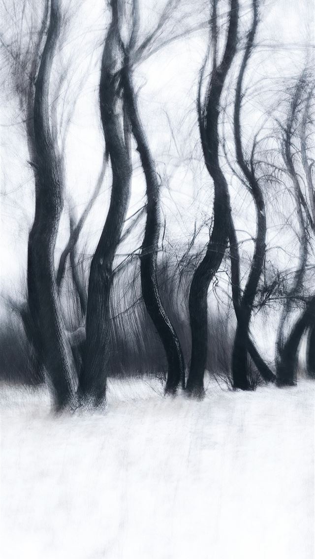 640x1136 a black and white photo of trees in the snow -  iPhone Wallpaper