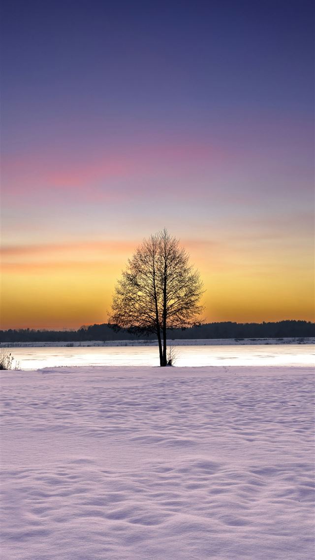 1290x2796 a lone tree in the middle of a snowy field -  iPhone Wallpaper