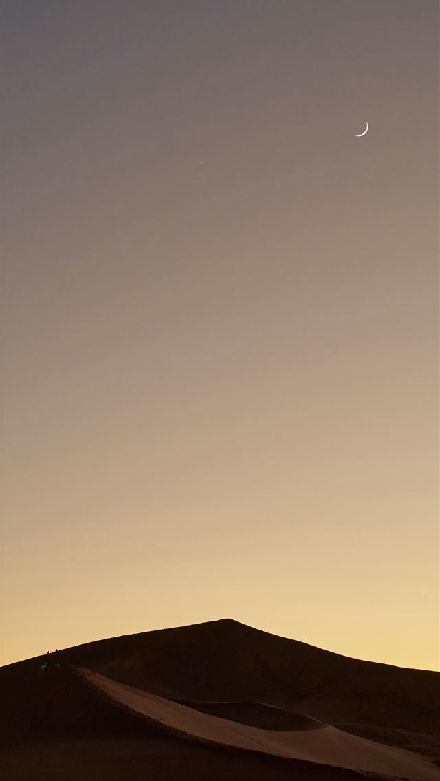 1290x2796 a person standing on top of a sand dune -  iPhone Wallpaper