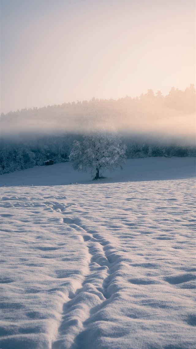 1290x2796 a snow covered field with a lone tree in the dista... - winter iPhone Wallpaper
