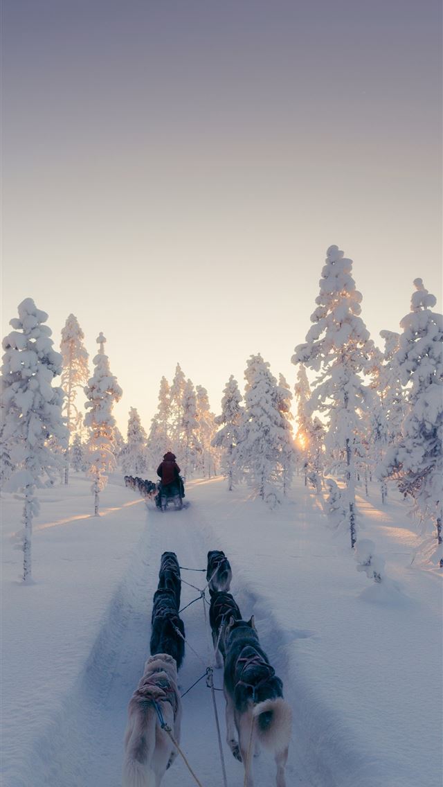 1290x2796 a person riding a sled down a snow covered slope - winter iPhone Wallpaper