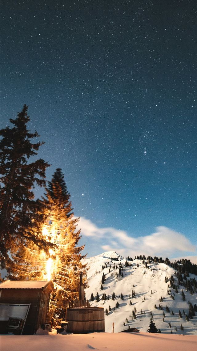 1290x2796 brown wooden house on snow covered ground near tre... - plant iPhone Wallpaper