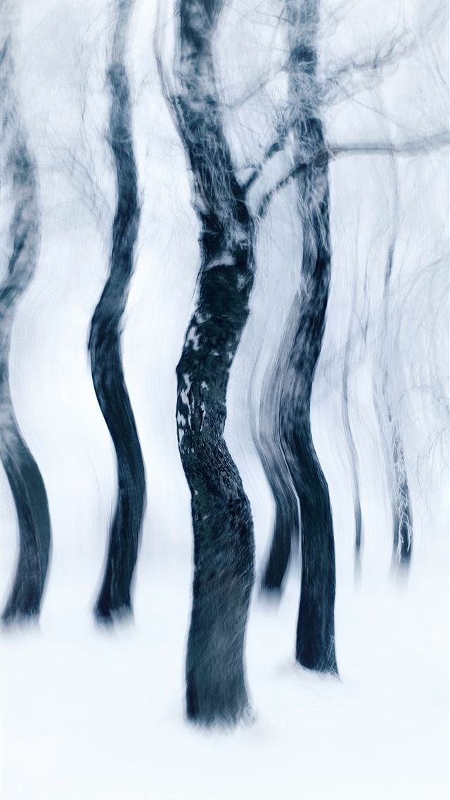 1290x2796 a black and white photo of trees in the snow -  iPhone Wallpaper