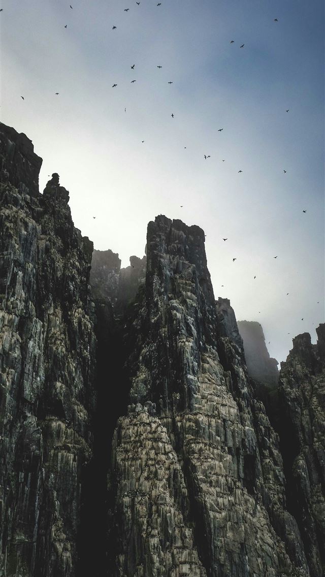 1290x2796 a group of birds flying over a rocky mountain -  iPhone Wallpaper