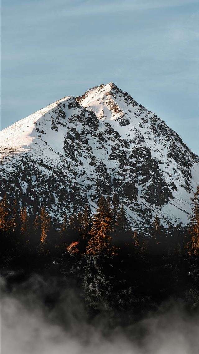 1290x2796 a snow covered mountain with trees in the foregrou... - moon iPhone Wallpaper