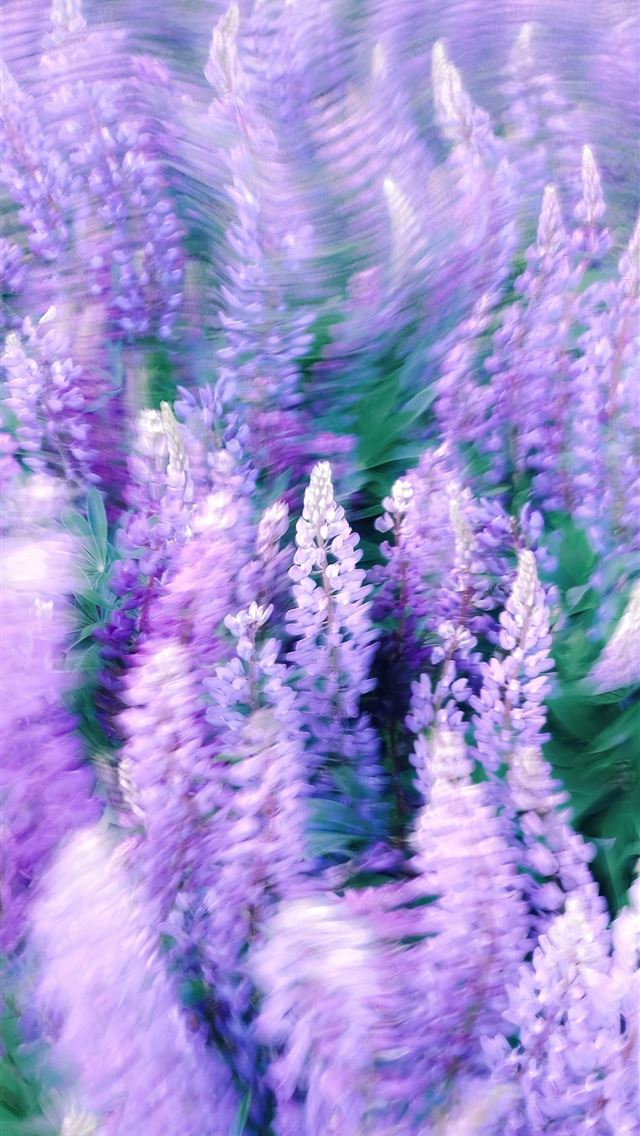 1290x2796 a blurry photo of purple flowers in a field -  iPhone Wallpaper