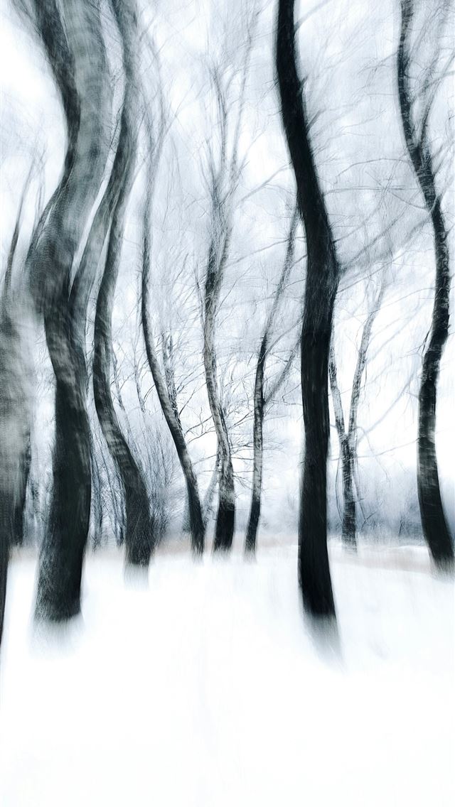 1290x2796 a blurry photo of trees in the snow - winter iPhone Wallpaper