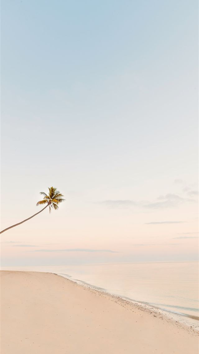 1290x2796 a tree on a beach - minimal iPhone Wallpaper