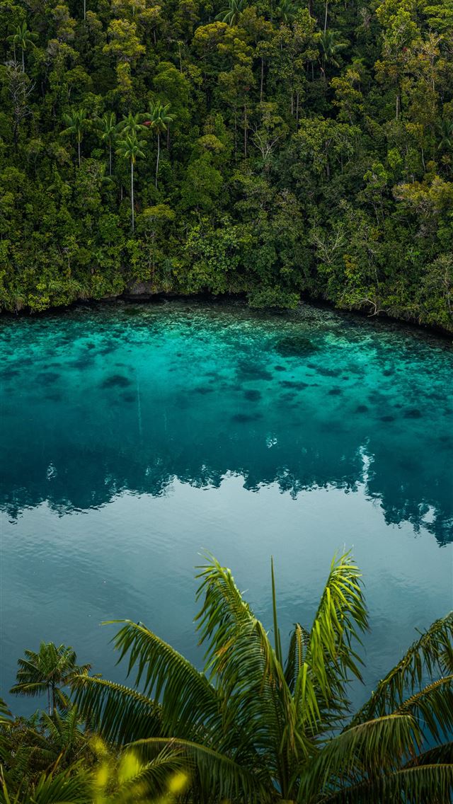 1290x2796 a blue lake surrounded by trees in the middle of a... -  iPhone Wallpaper