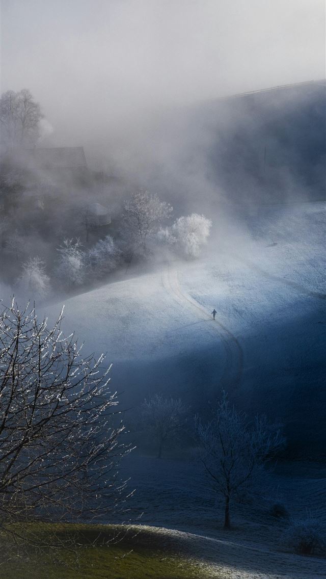 1290x2796 A lone figure walks through a misty frosted landsc... - winter iPhone Wallpaper