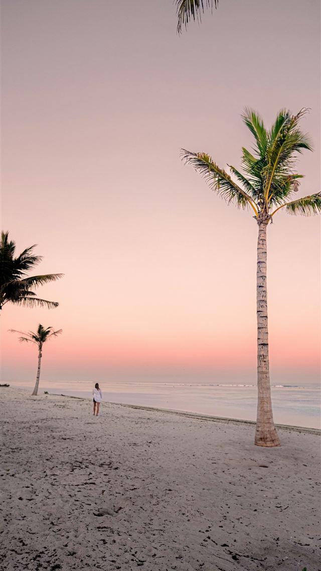 1290x2796 a person standing on a beach next to a palm tree -  iPhone Wallpaper