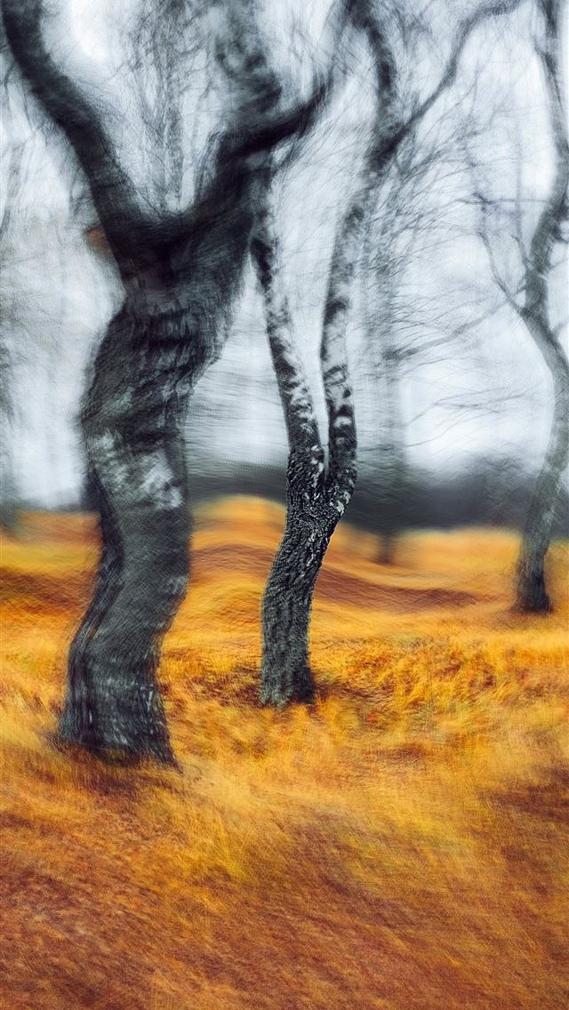 1290x2796 a blurry photo of trees in a field -  iPhone Wallpaper