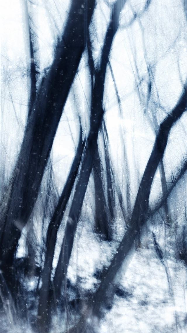 1290x2796 a black and white photo of trees in the snow - winter iPhone Wallpaper