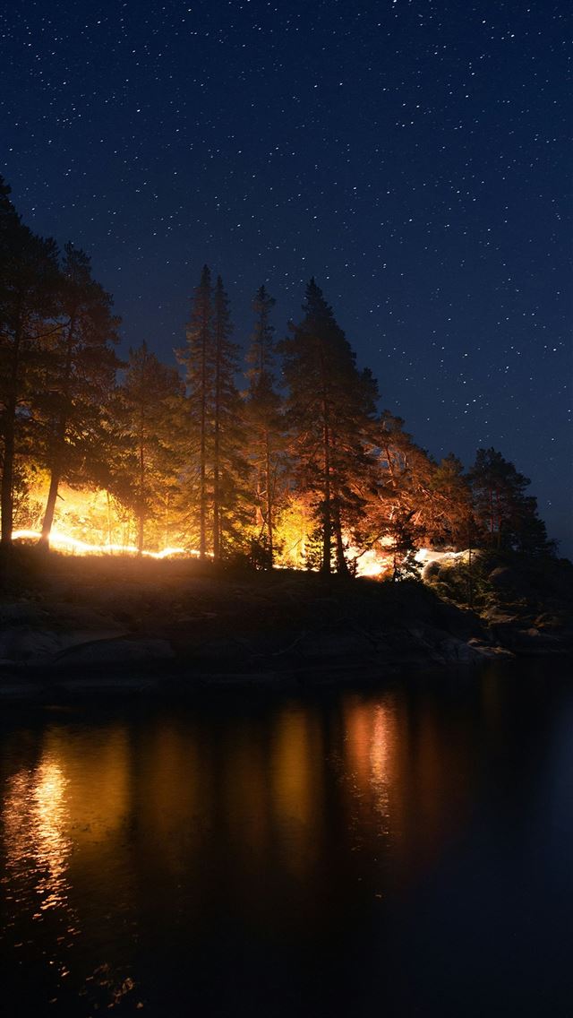1290x2796 a night time view of a lake and trees - light iPhone Wallpaper