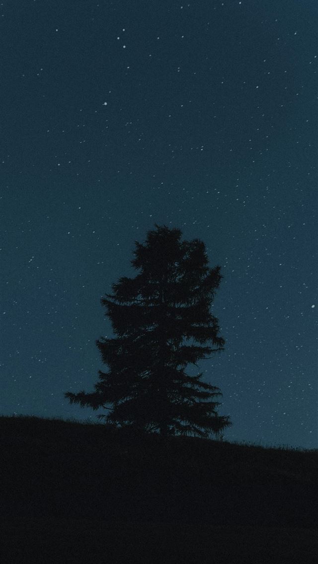 1290x2796 Lone pine tree silhouetted against a starry night ... - grass iPhone Wallpaper
