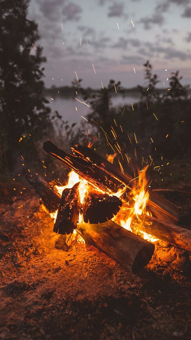 1290x2796 photography of bonfire during daytime -  iPhone Wallpaper