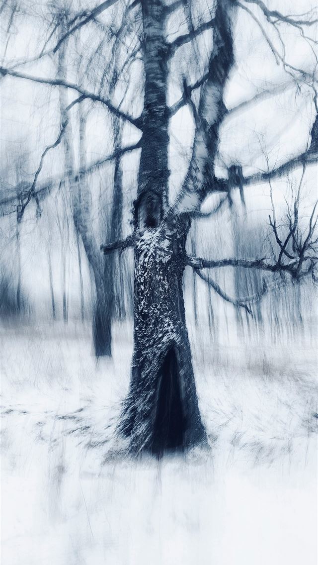 1290x2796 a black and white photo of a tree in the snow -  iPhone Wallpaper