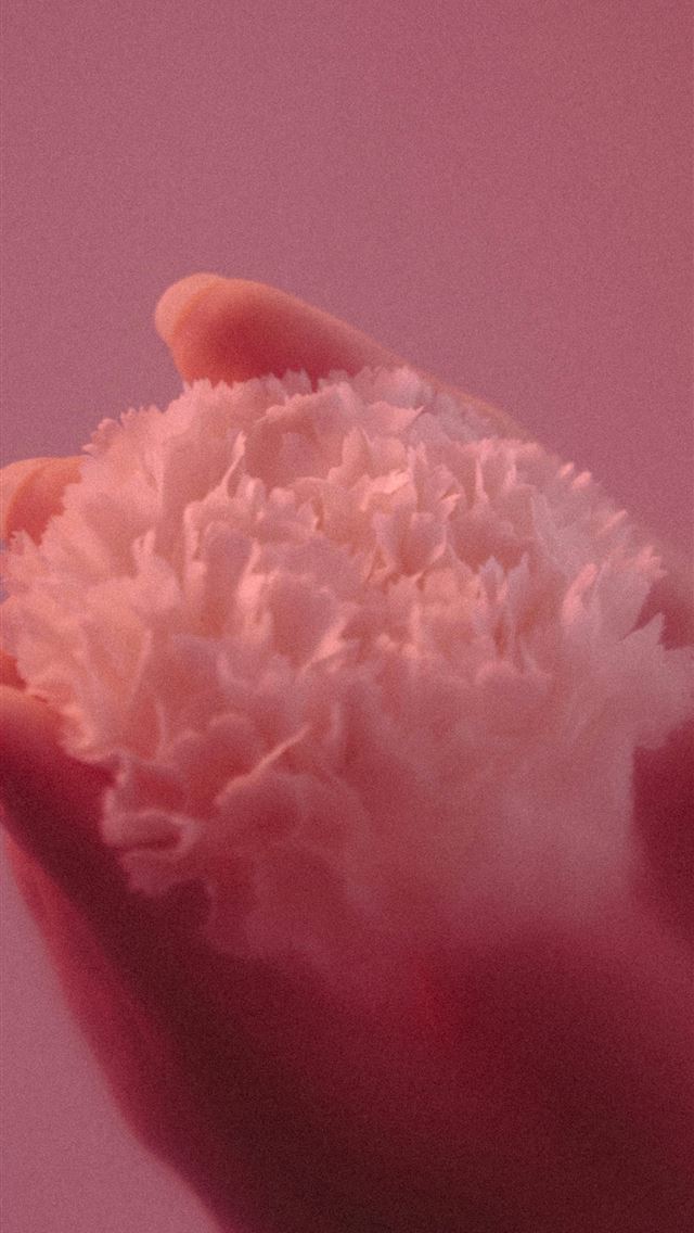 1290x2796 a hand holding a pink and white object -  iPhone Wallpaper
