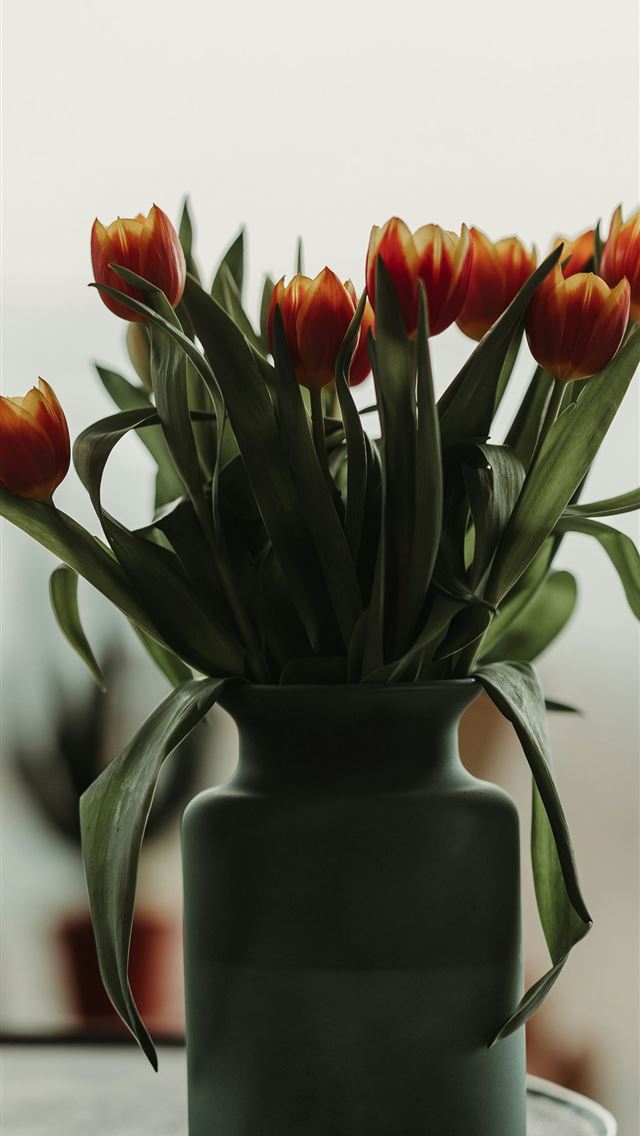 1290x2796 a vase filled with lots of flowers on top of a tab... -  iPhone Wallpaper