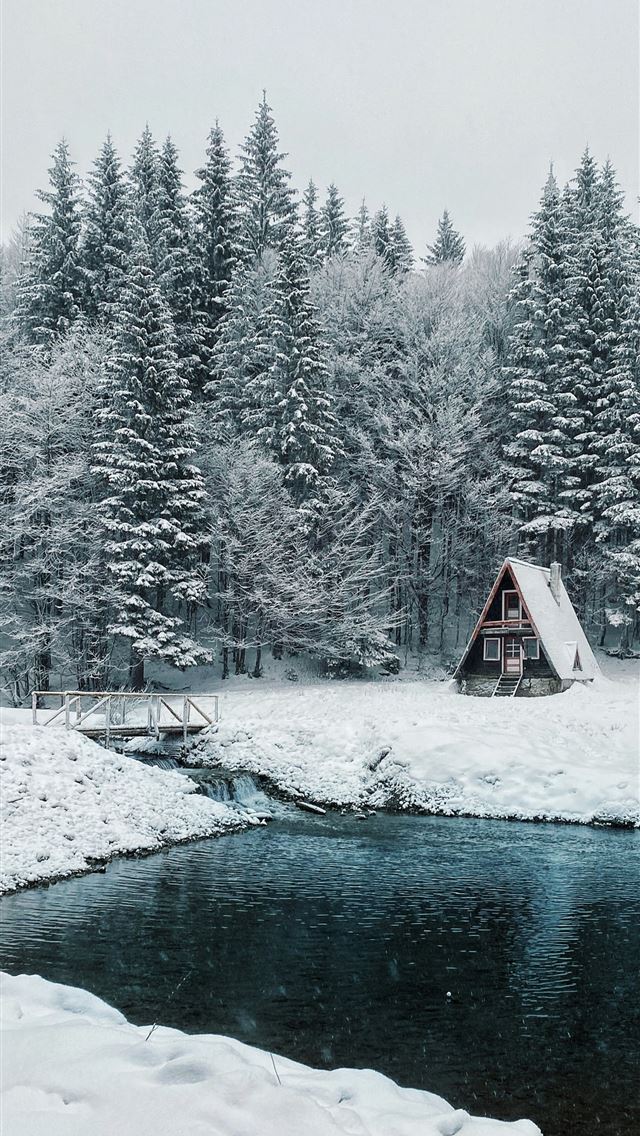 1290x2796 brown and white house near trees covered with snow... - forest iPhone Wallpaper